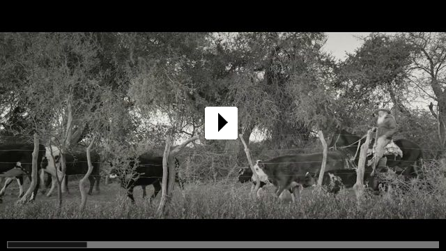 Zum Video: Gaucho Gaucho