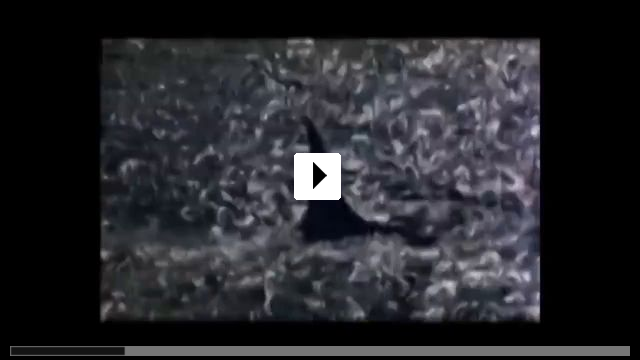Zum Video: Orca, der Killerwal