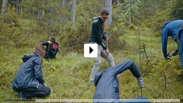 Zum Video: Elevated Art - Wer Kunst auf Berge stellt