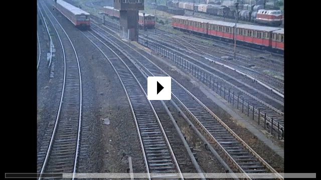 Zum Video: Trampen nach Norden