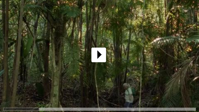 Zum Video: Das tiefste Blau