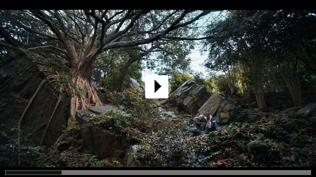 Zum Video: Rental Family