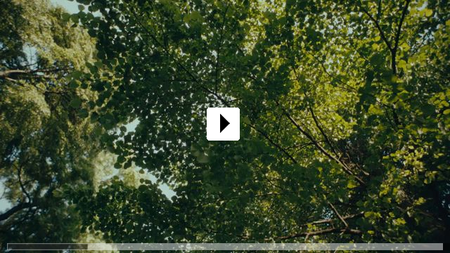 Zum Video: How to be normal
