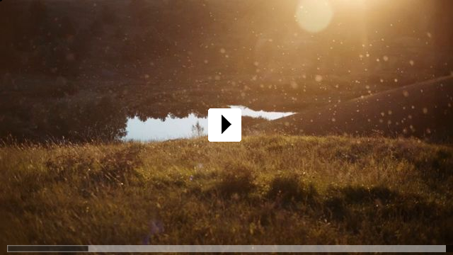 Zum Video: U are the Universe