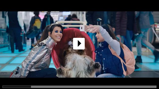 Zum Video: Miau & Wau