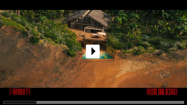 Zum Video: Primate