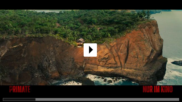 Zum Video: Primate