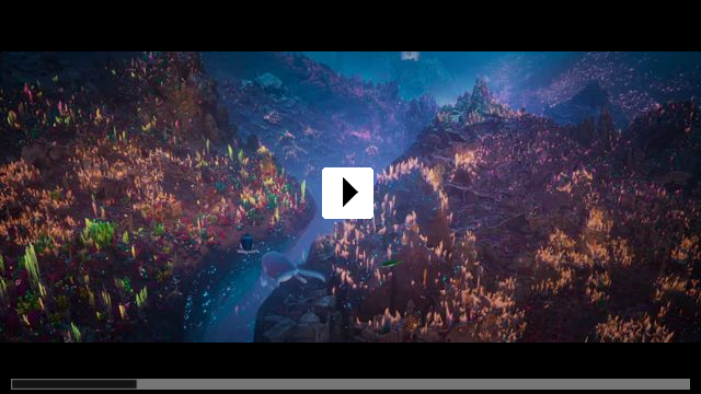 Zum Video: Der letzte Walsnger