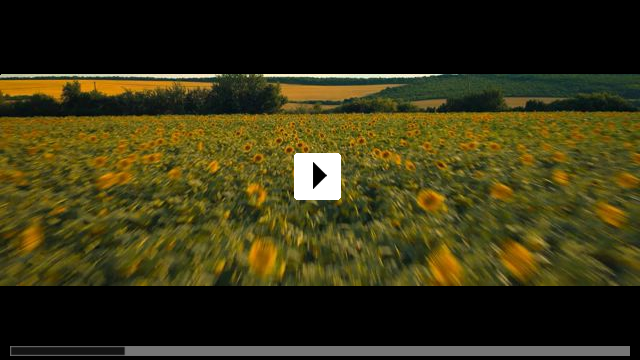 Zum Video: Dust Bunny