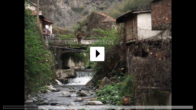 Zum Video: Stille Beobachter