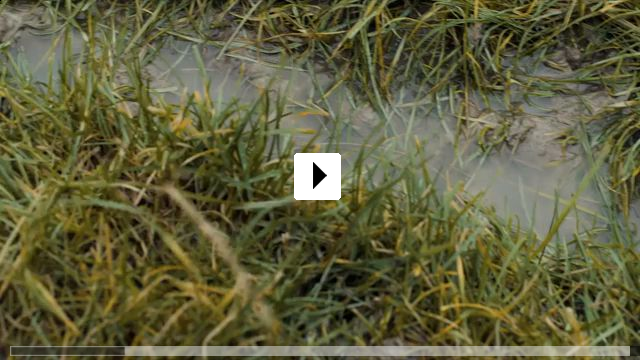 Zum Video: Der Schimmelreiter