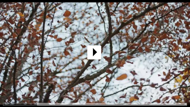 Zum Video: Vier minus drei