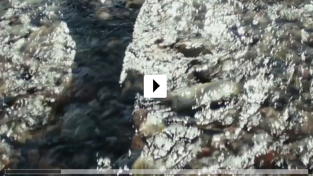 Zum Video: Der Frosch und das Wasser