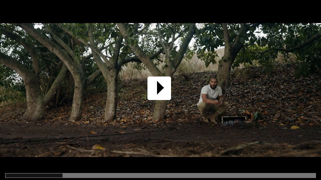 Zum Video: In the Grey