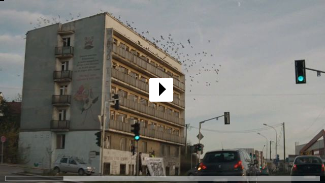 Zum Video: Yugo Florida