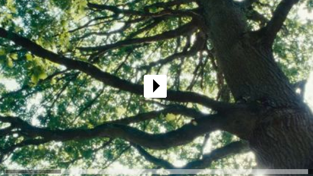 Zum Video: Wild Foxes