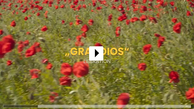 Zum Video: Dao