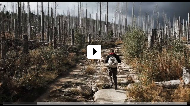 Zum Video: Das Gewicht der Welt