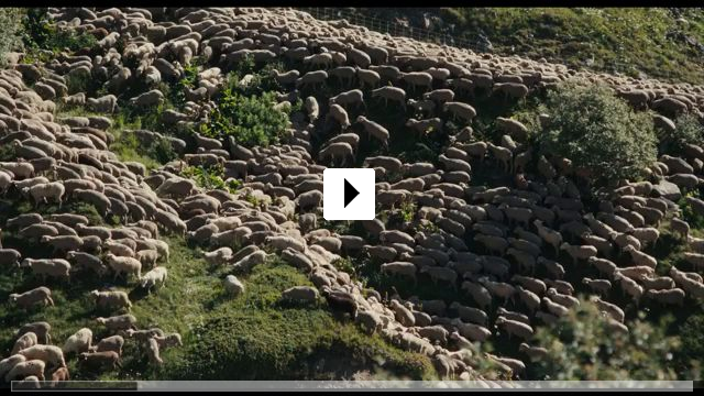Zum Video: Hirten