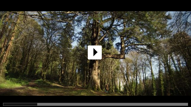 Zum Video: Hokum