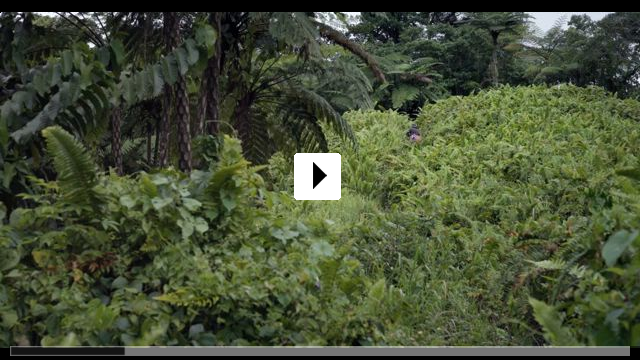 Zum Video: Heart of Light - Eleven Songs for Fiji