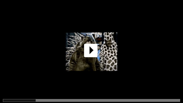 Zum Video: Wilde Kreaturen