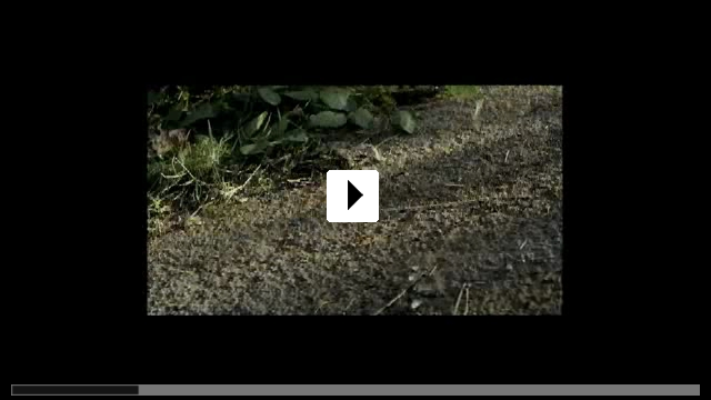 Zum Video: Der Schatz der weien Falken
