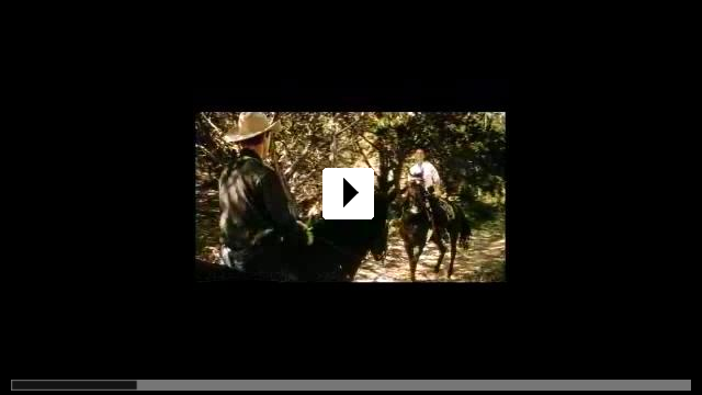 Zum Video: All die schnen Pferde
