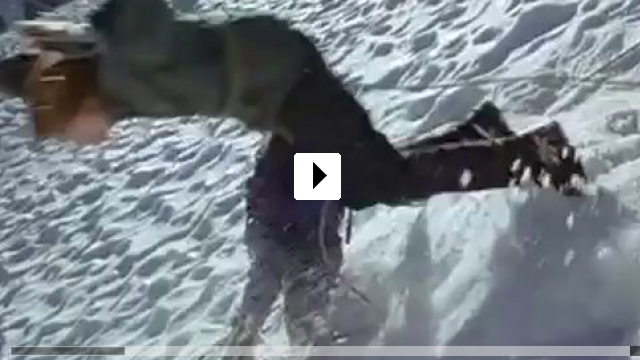 Zum Video: Alaska - Die Spur des Polarbren