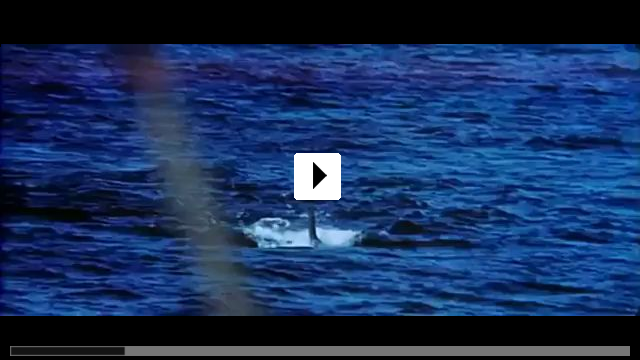 Zum Video: Der wei�e Hai