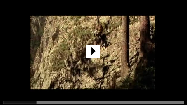 Zum Video: Der Frster vom Silberwald