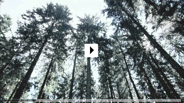 Zum Video: Black Forest