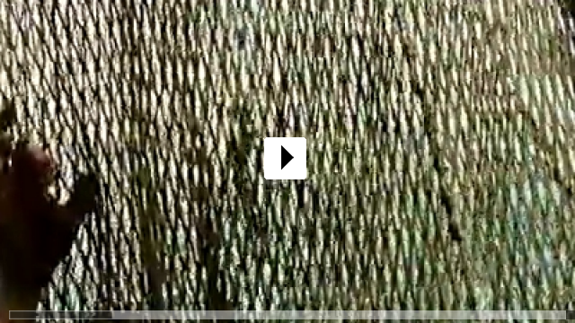 Zum Video: Ondine - Das Mdchen aus dem Meer