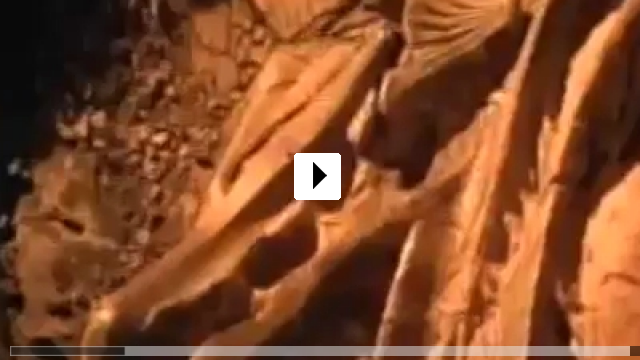 Zum Video: Das verfluchte Grab