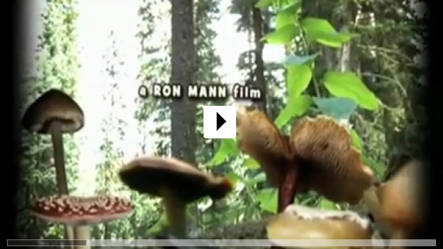 Zum Video: Know Your Mushrooms