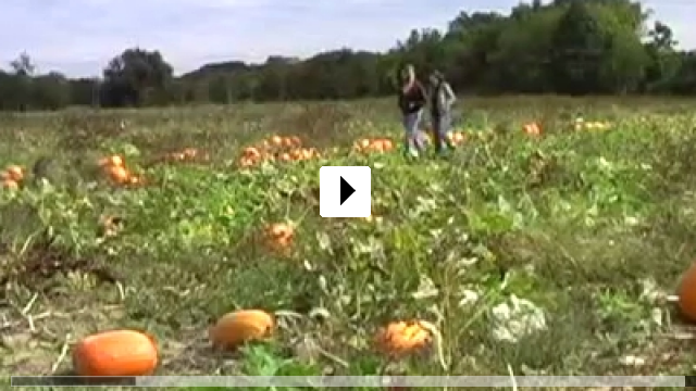 Zum Video: Pumpkins