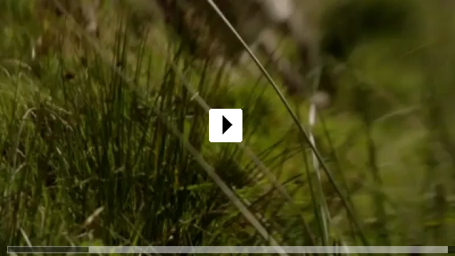 Zum Video: The Arbor