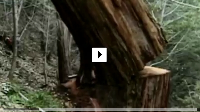 Zum Video: If A Tree Falls