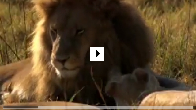 Zum Video: Der weie Lwe
