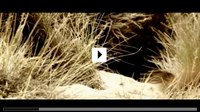 Zum Video: Blackthorn