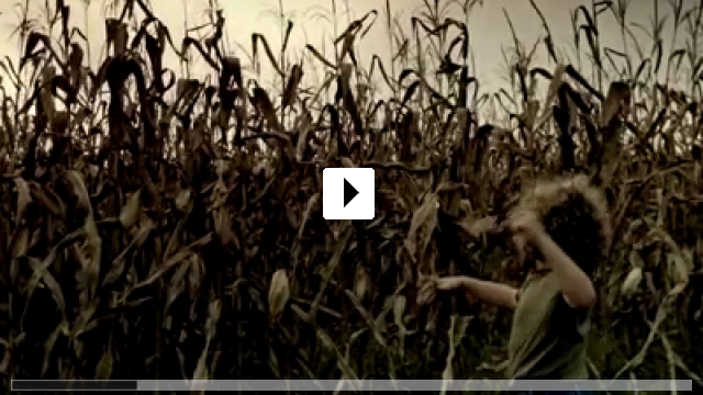 Zum Video: The Fields