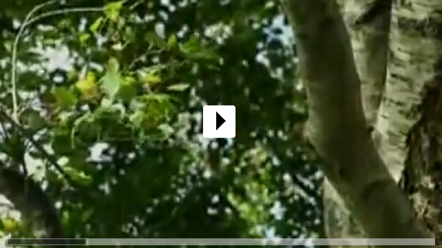 Zum Video: Paladin: der Drachenjger