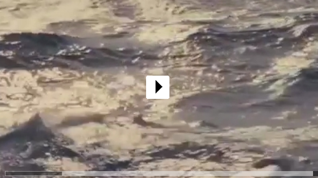 Zum Video: Schwarzer Ozean