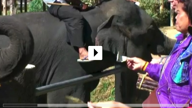 Zum Video: How I Became an Elephant