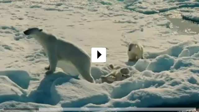 Zum Video: To the Arctic 3D